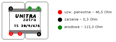 TS.gif